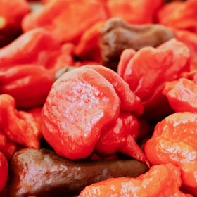 Unpretentious chiles come in resealable bag for fresh, long-lasting heat.