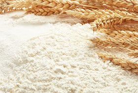 Unpretentious High Gluten Flour pizza dough ready for toppings and crisp crust