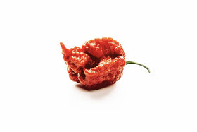 Unpretentious resealable bag highlights convenient spice storage for future batches