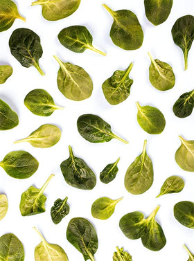 Unpretentious Spinach Flakes stirred into grains or breads for richer savory notes.