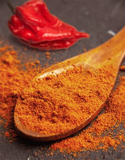 Unpretentious Trinidad Scorpion Pepper Powder spice scoop demonstrates precise heat measurement