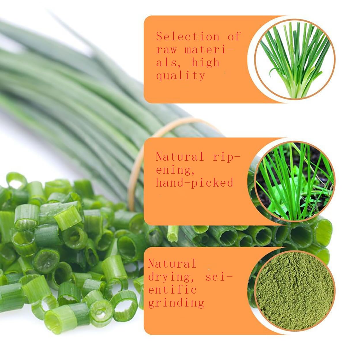 UpBots scallion powder packaging box highlighting convenient storage.