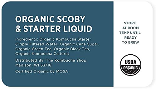 Urban Kitchen Live Culture SCOBY batch supports ongoing fermentation adventures at home.