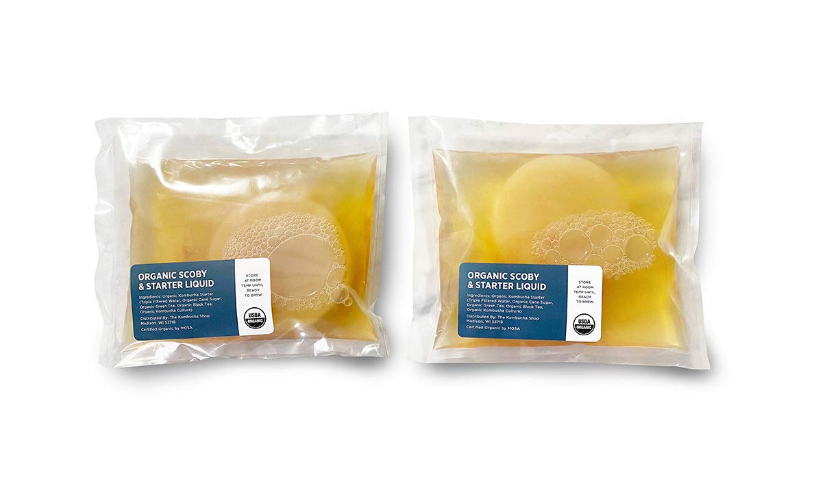 Urban Kitchen Organic SCOBY 2-Pack close-up showing premium starter for home-brewed kombucha.