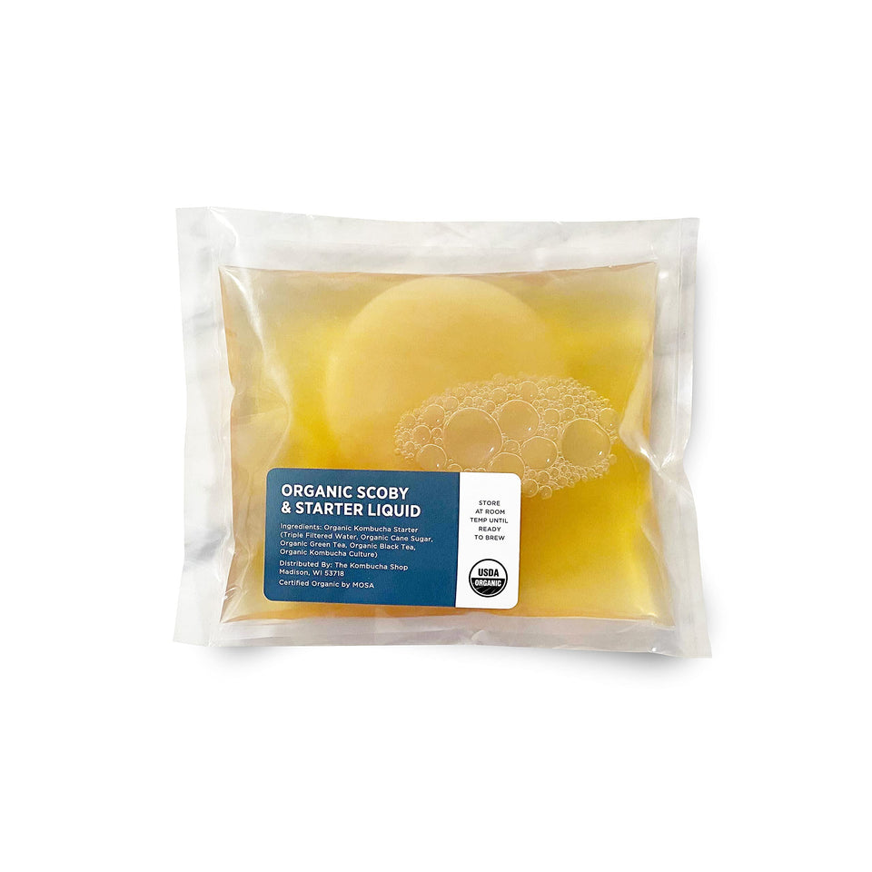 Urban Kitchen Organic SCOBY Starter Kit ready to begin a simple home brew.