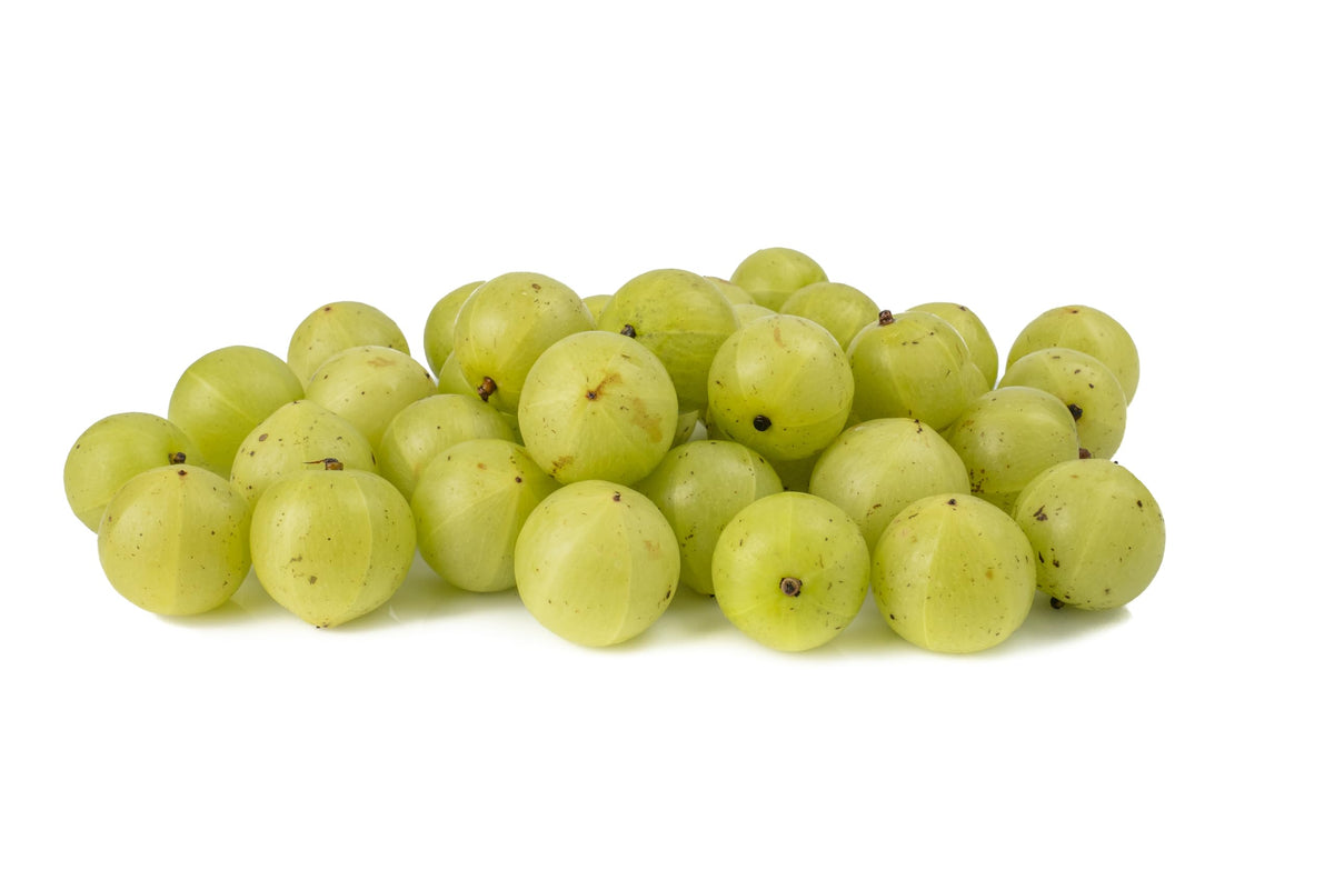US Wellness Naturals Organic Amla powder close-up shows pure single-ingredient formula.