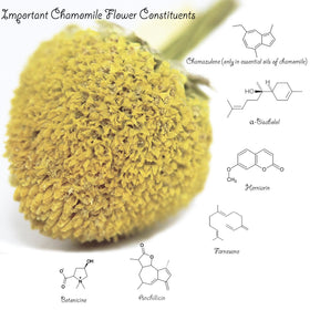 Re-sealable BPA-free bag keeps U.S. Wellness Naturals chamomile fresh between uses
