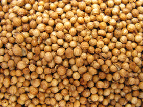 US Wellness Naturals coriander seeds closeup highlight the citrusy aroma for recipes.