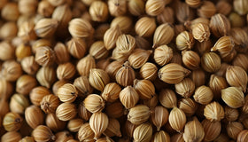US Wellness Naturals coriander seeds in bowl ready to season curries and stews.