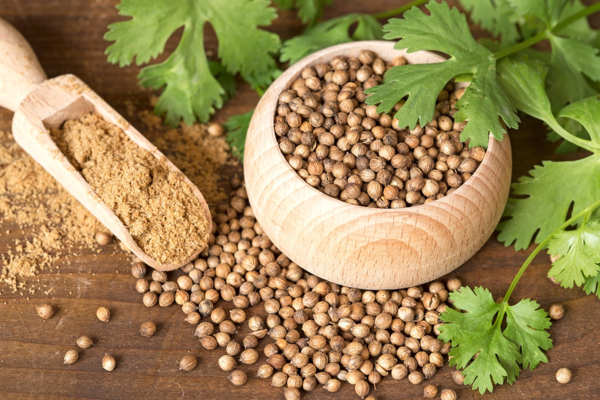 US Wellness Naturals coriander seeds scattered on counter inviting versatile kitchen use.