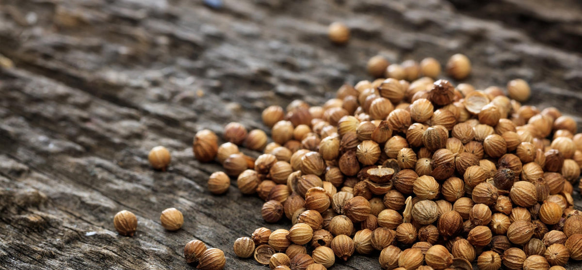 US Wellness Naturals coriander seeds in spice mill ready for grinding.