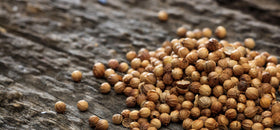 US Wellness Naturals coriander seeds in spice mill ready for grinding.