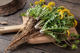US Wellness Naturals cut roots brew a robust, full-bodied flavor.