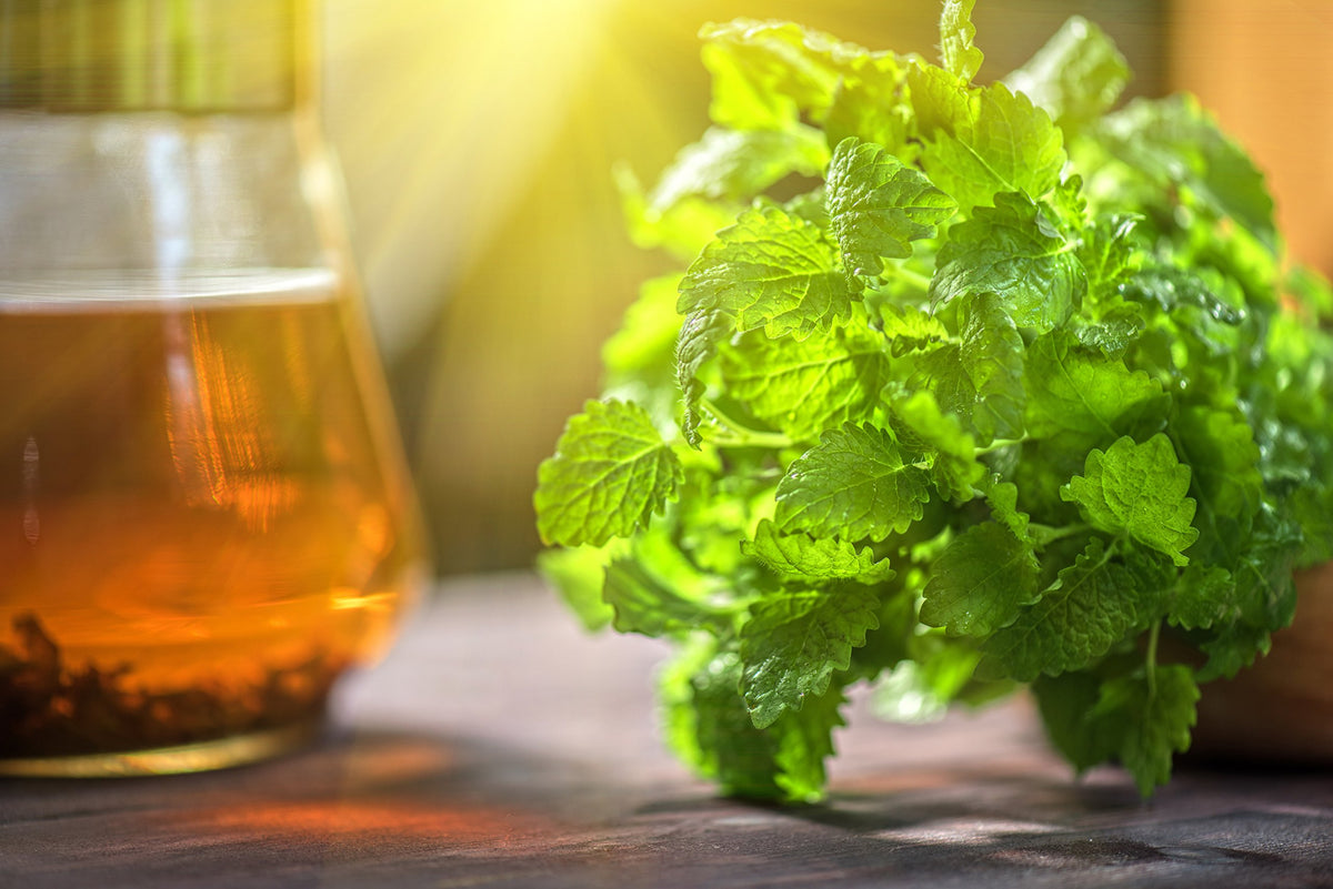 U.S. Wellness Naturals lemon balm offers a zesty aroma for refreshing drinks