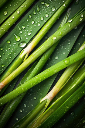 US Wellness Naturals lemongrass as seasoning in soups and dishes.