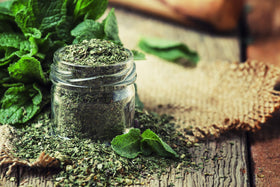 US Wellness Naturals peppermint tea in kitchen for a soothing morning ritual