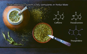 US Wellness Naturals Yerba Mate OEFFA certified organic production