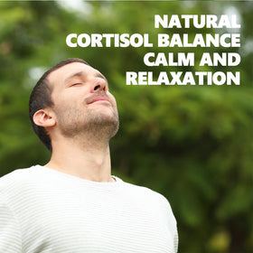 VAEYAE Cortisol Tea cup steaming evokes a relaxing moment.