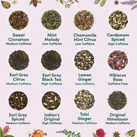 VAHDAM black tea selection delivers robust flavor for daily enjoyment.