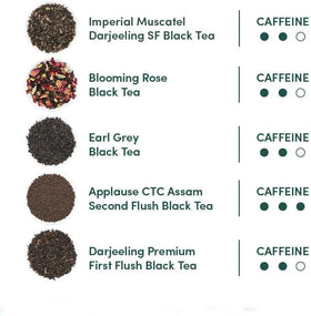 VAHDAM English Breakfast and Darjeeling flavors ideal for busy mornings