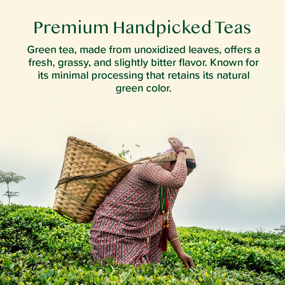 Assorted Himalayan green tea blends from VAHDAM ready to sip