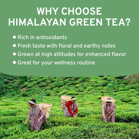 VAHDAM single-origin green tea from India delivers smooth flavor.