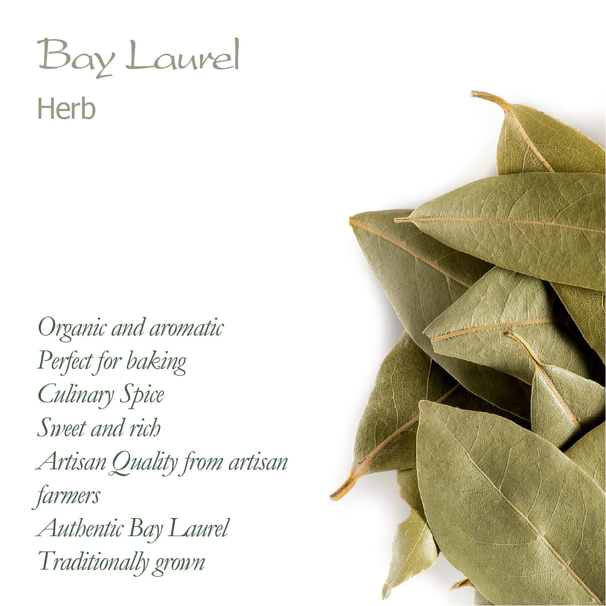 Valley of Tea Bay Leaf dried leaves – timeless aroma for gravies and stews.