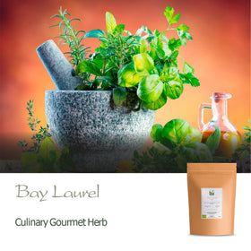 Valley of Tea Bay Leaf in cooking pot – depth and warmth in simmered sauces.