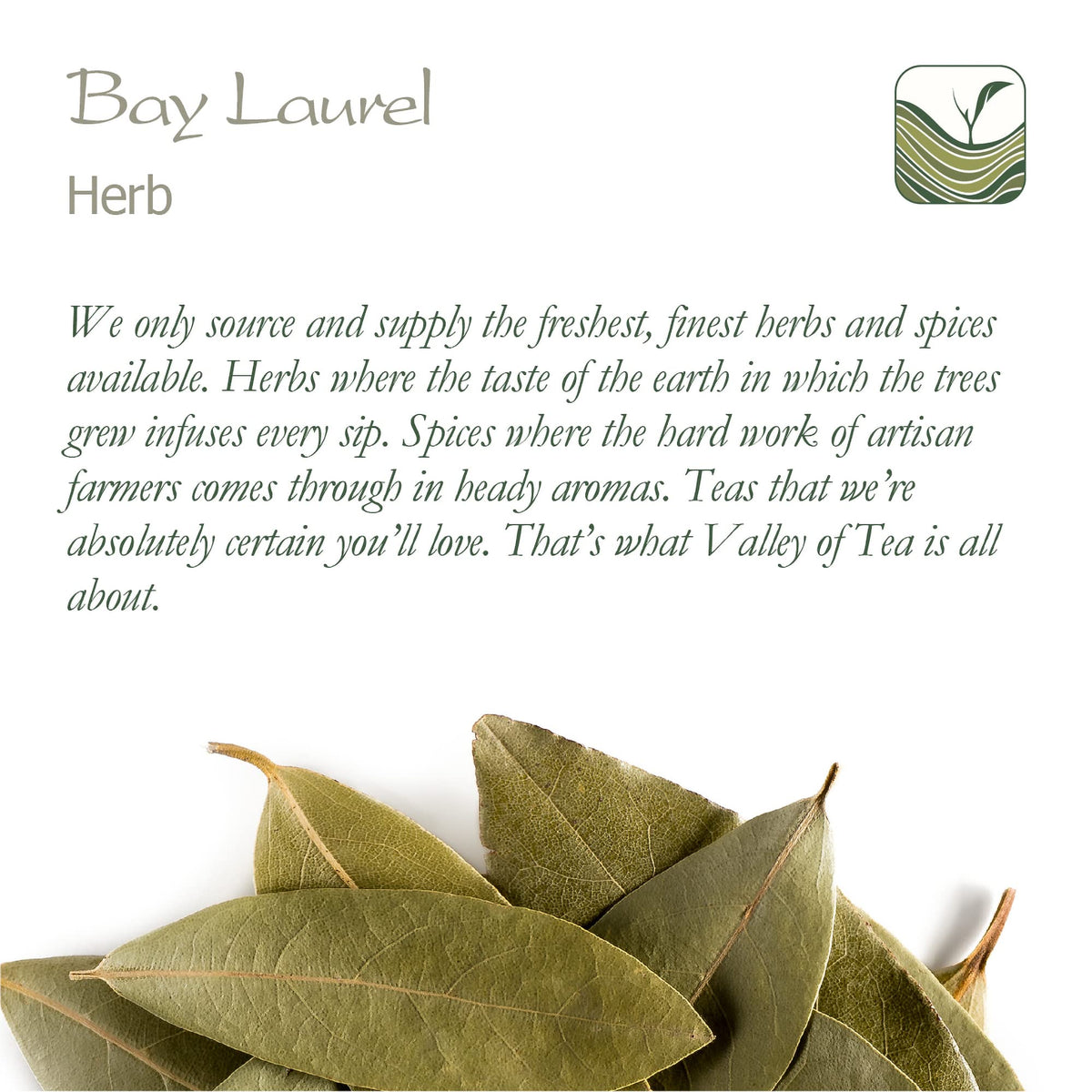 Valley of Tea Bay Leaf on spice shelf – ready-to-use herb for everyday cooking.