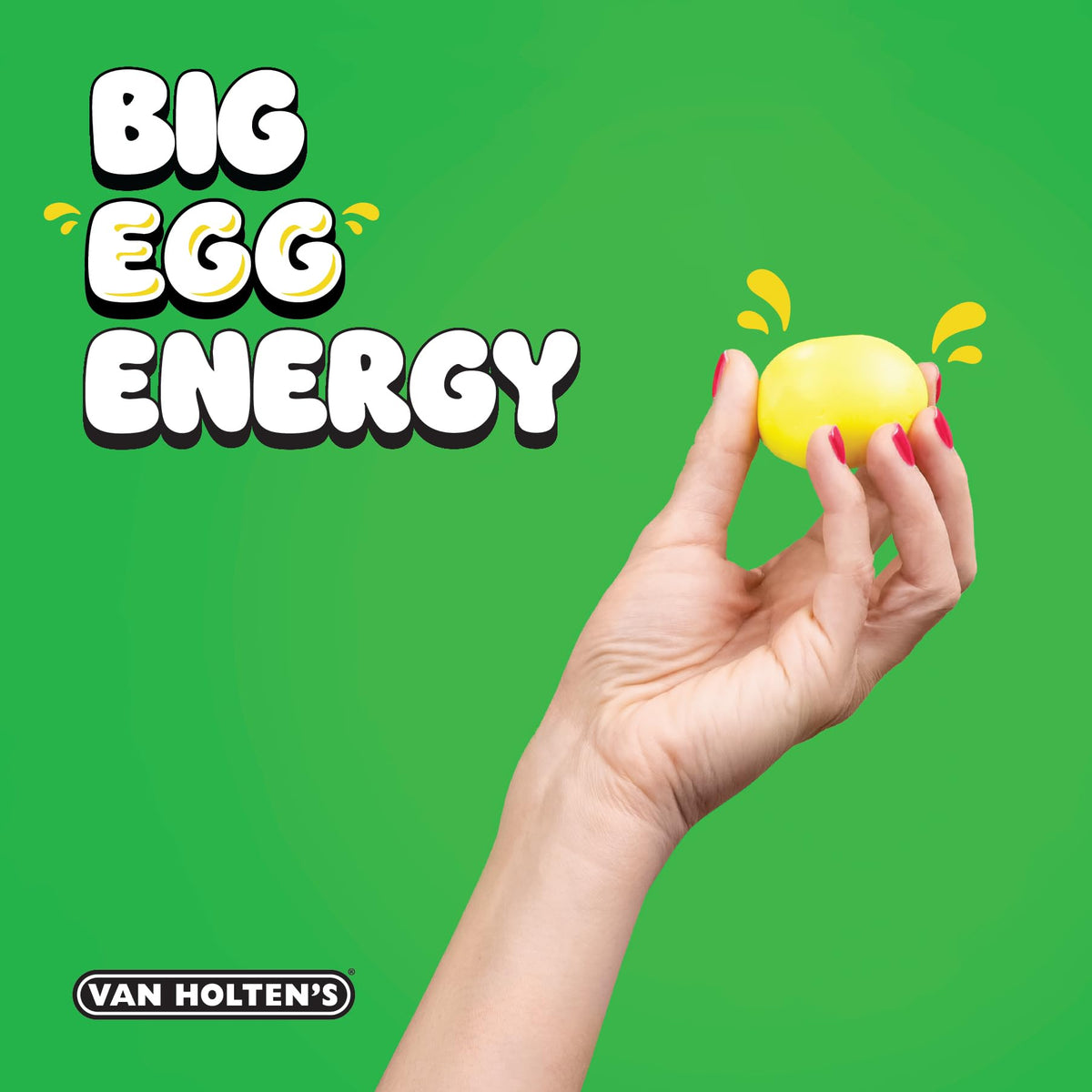 Van Holten's combo-pack on pantry shelf suggests low-carb, zero-sugar snack possibilities.