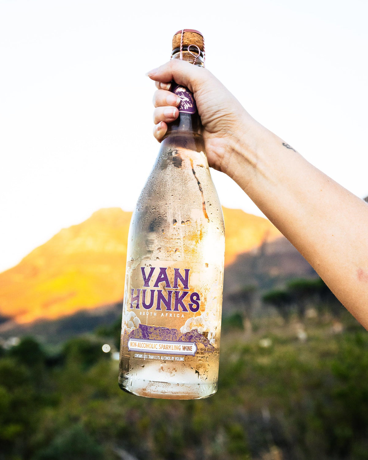 Van Hunks Stellenbosch vineyard shot, reflecting heritage and small-batch production.