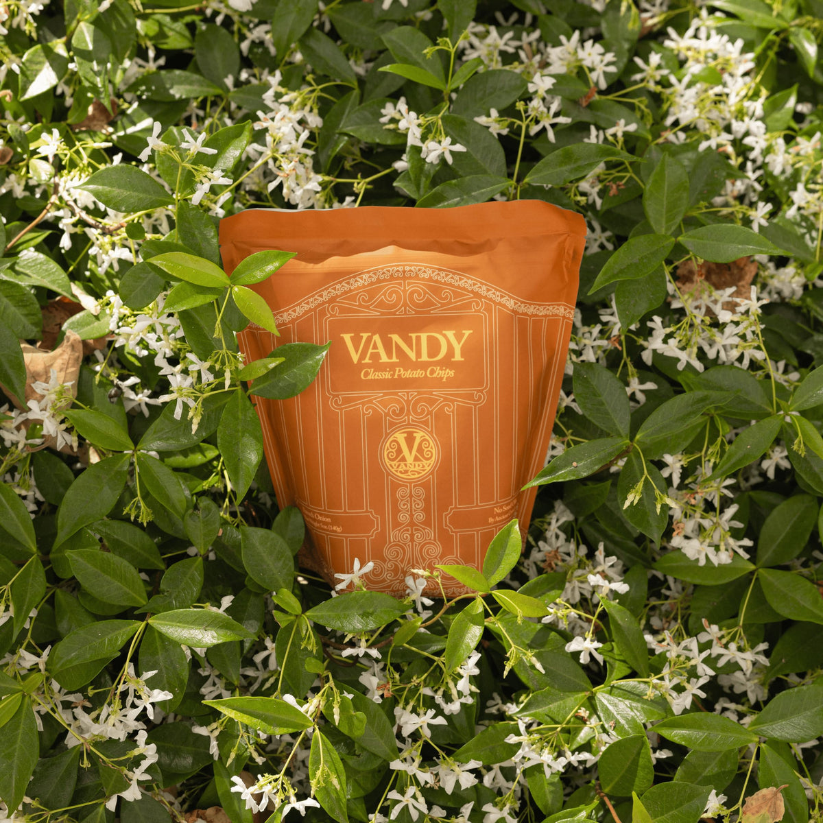 Vandy Crisps packaging shows French Onion blend on label.