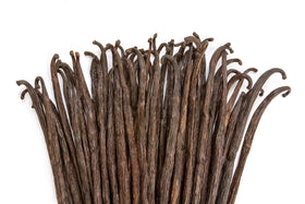 Vanilla Bean Kings close-up seeds show tiny vanilla specks for extract