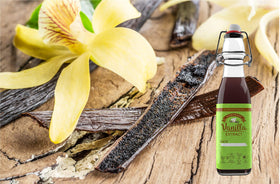 Vanilla Bean Kings glass bottle ready for vanilla extraction and storage