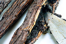 Vanilla Bean Kings Madagascar vanilla beans close-up demonstrates premium sourcing for baking.