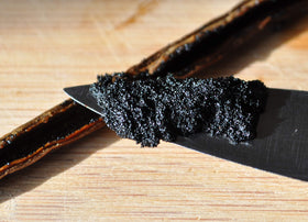 Vanilla Bean Kings soft, moist vanilla bean indicating premium quality