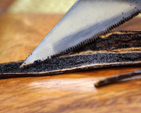 Vanilla Bean Kings soft pliable pod with visible seeds for authentic vanilla