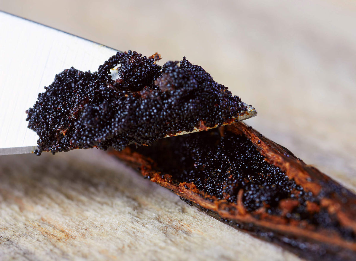 Vanilla Bean Kings sustainably sourced vanilla from Indonesian farmers