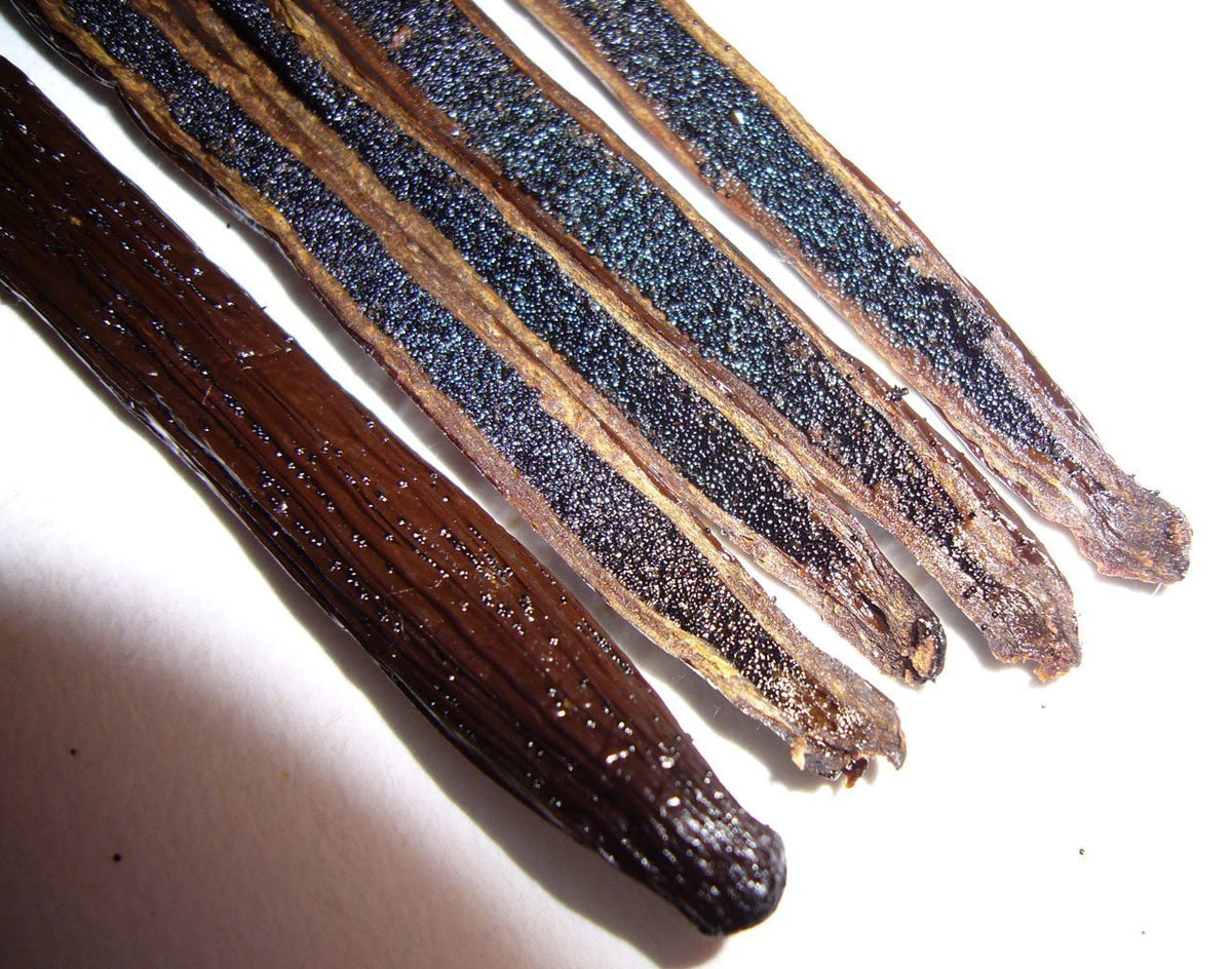 Vanilla Bean Kings sustainable farming supports Malagasy farmers.