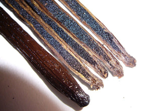 Vanilla Bean Kings sustainable farming supports Malagasy farmers.