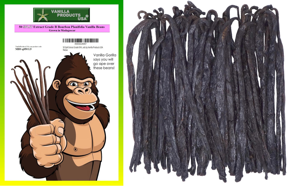 Vanilla Products USA 50-split Grade B Madagascar vanilla beans closeup, perfect for versatile vanilla extracts.