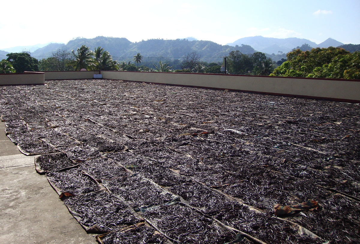 PNG-grown vanilla beans from Vanilla Products USA inspire recipes.