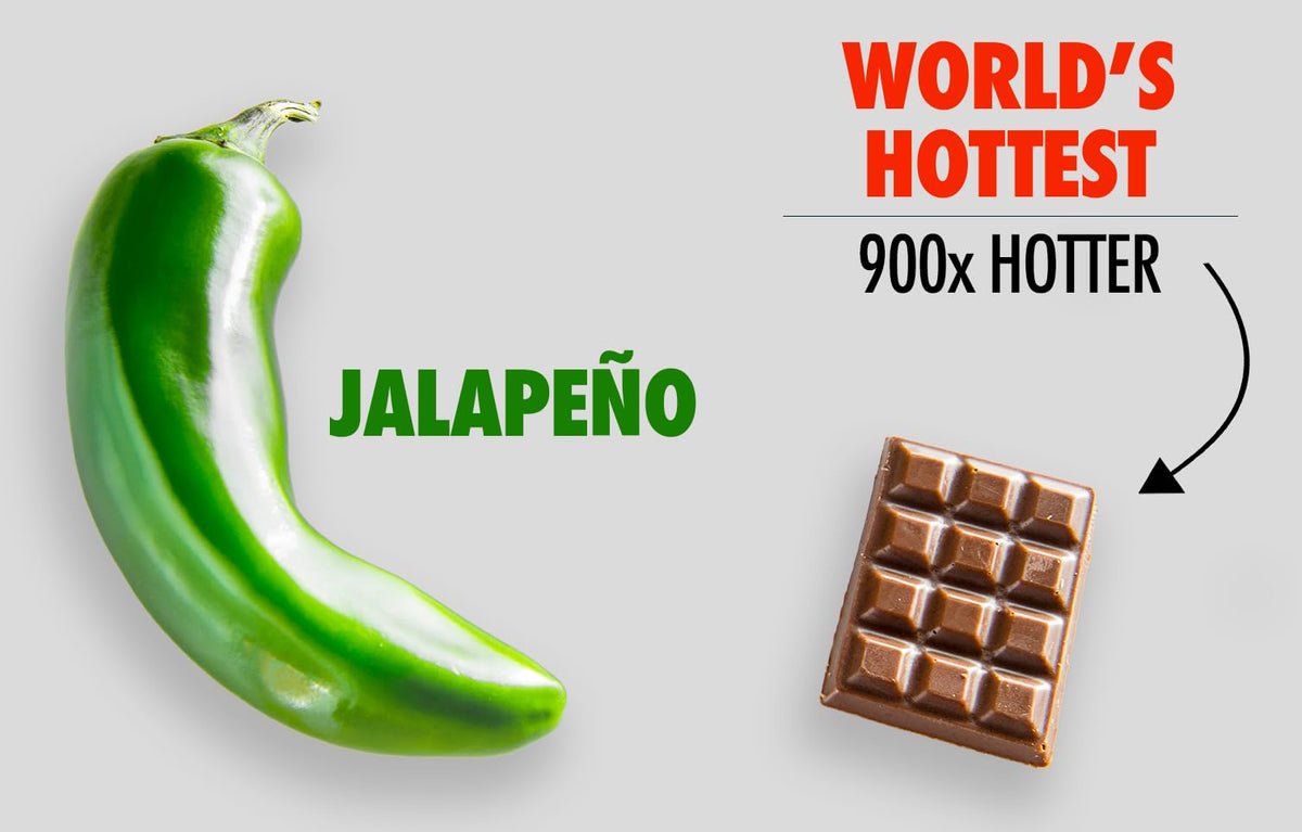 VAT19 World's Hottest Chocolate Bar made in USA label with handcrafted packaging and quality cues.