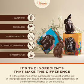 Venchi milk chocolate bunny served as a sharing treat at gatherings.
