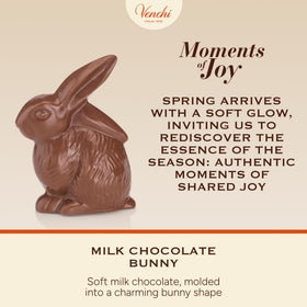 Venchi milk chocolate bunny wrapping highlights festive packaging for gifting.