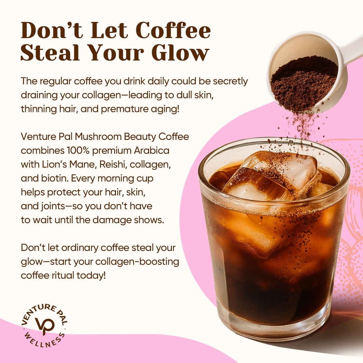 Venture Pal hydrolyzed collagen visual underscores joints and elasticity support.