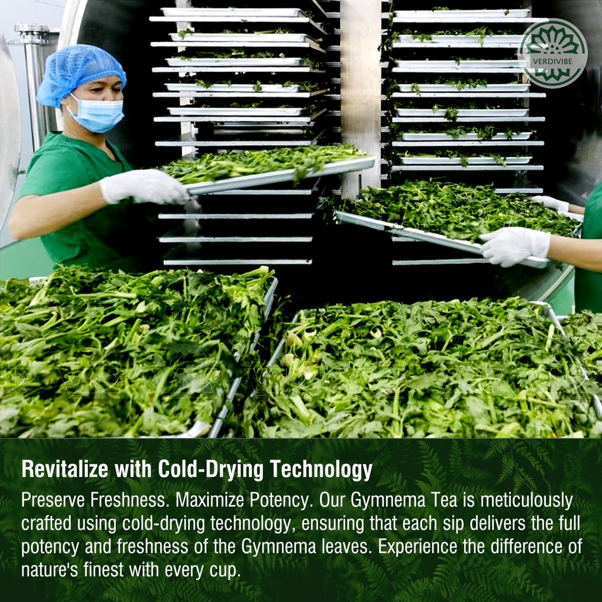 VERDIVIBE carefully packaged for freshness and convenient use.