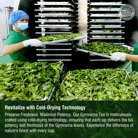 VERDIVIBE carefully packaged for freshness and convenient use.