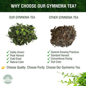 VERDIVIBE Gymnema leaves close-up showing natural texture for pure infusion.