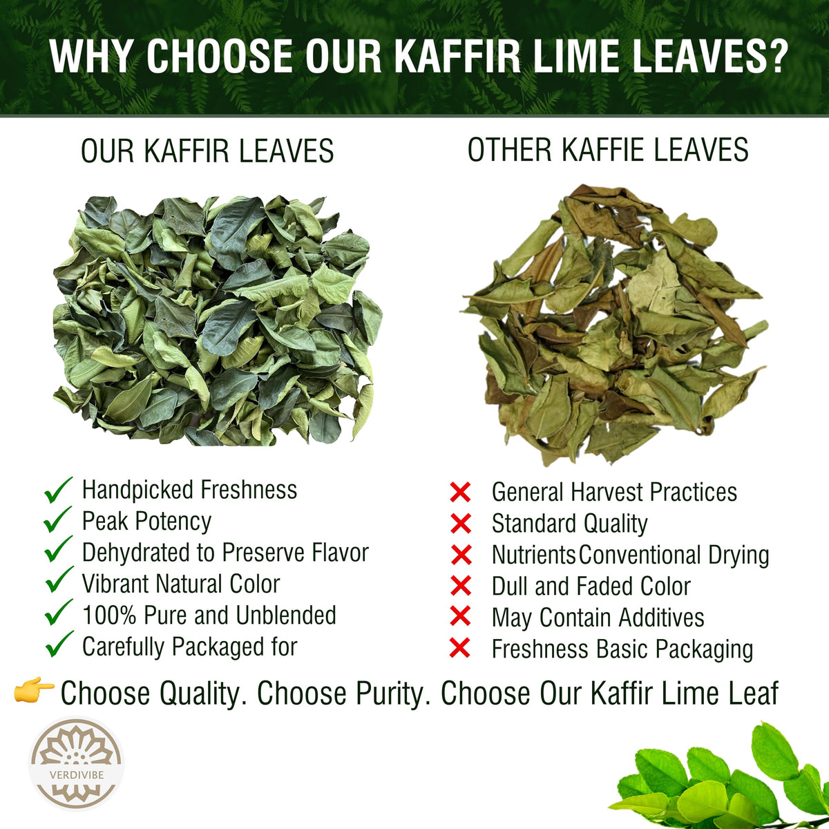 VERDIVIBE kaffir lime leaves handpicked under optimal conditions to preserve freshness